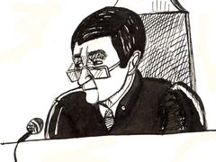 Судья Данилкин