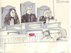 Аппеляция, судьи