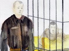 В Никулинском суде, 11 ноября