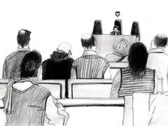 Заседание в Никулинском суде