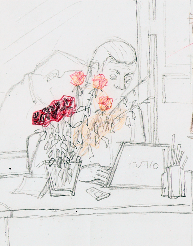 нежный адвокат,платон